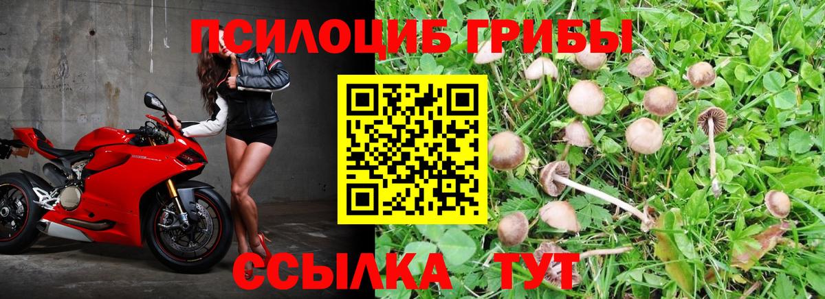 Сунжа  Галлюциногенные грибы мухоморы  Вход с VPN 